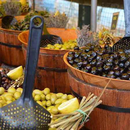 Appartement En Bord De 2 Pièces - 5 Couchages - - Fr-1-251-430